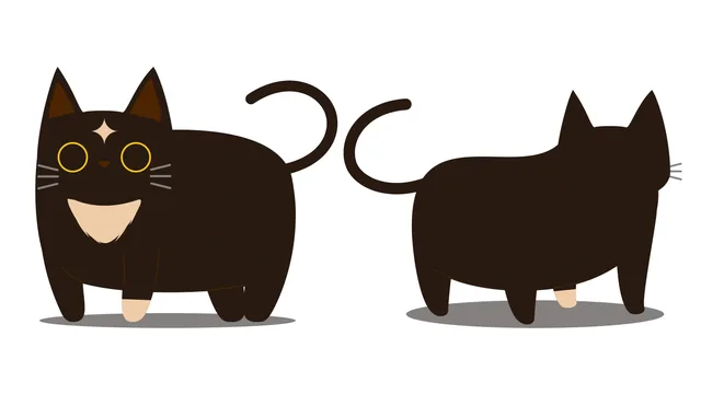 Cafemi final character design showing the chubby black cat from the front and back